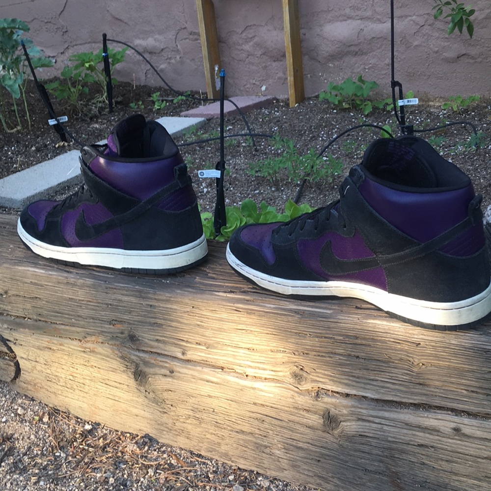 Purple High top Nike SBs